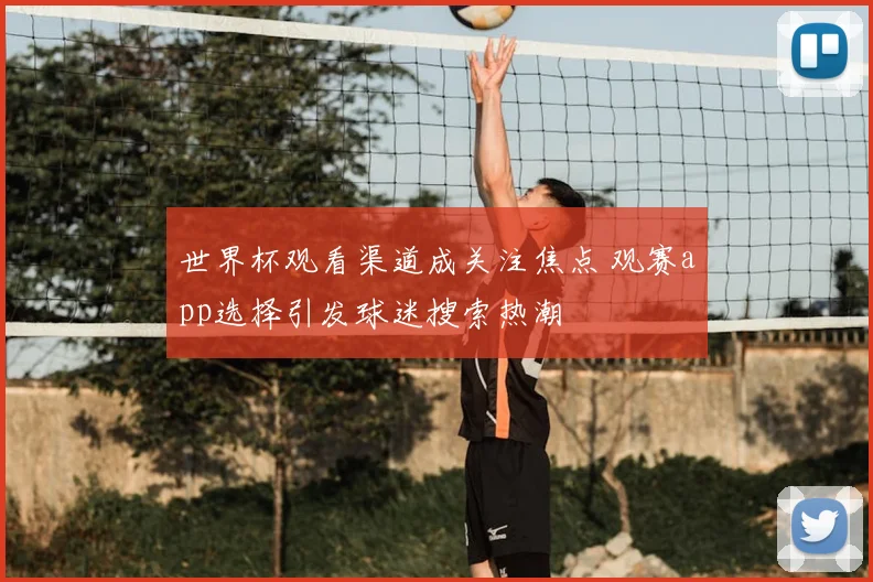 世界杯观看渠道成关注焦点 观赛app选择引发球迷搜索热潮