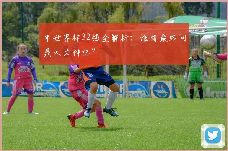 年世界杯32强全解析:谁将最终问鼎大力神杯?