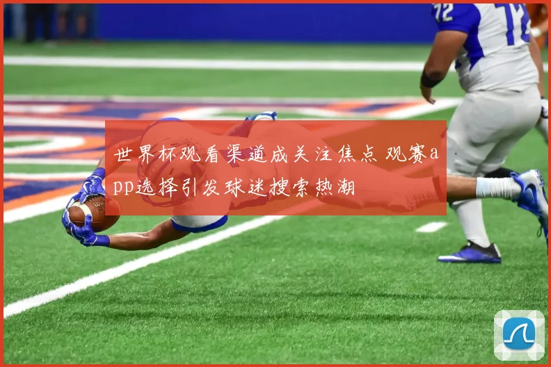 世界杯观看渠道成关注焦点 观赛app选择引发球迷搜索热潮