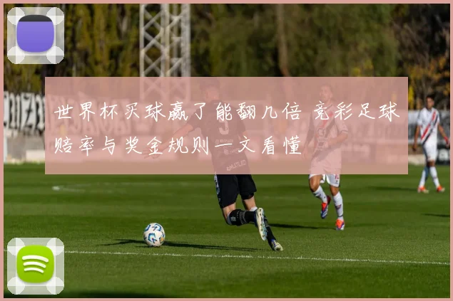 世界杯买球赢了能翻几倍 竞彩足球赔率与奖金规则一文看懂