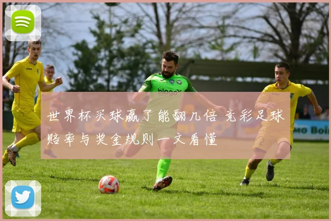 世界杯买球赢了能翻几倍 竞彩足球赔率与奖金规则一文看懂